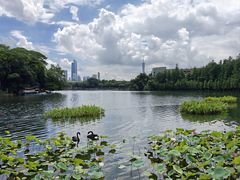 -东山湖公园