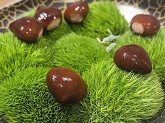 -鹿园 MOOSE(长宁店)