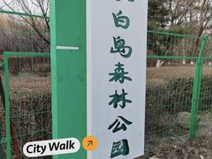 -长白岛森林公园