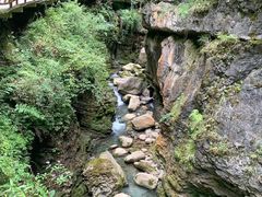 -鹿院坪生态旅游景区