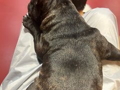 -和它·交个朋友·狗咖猫咖(爱琴海店)