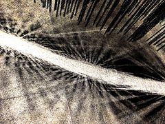 -张之洞与武汉博物馆