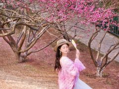 -重庆彩云湖湿地公园