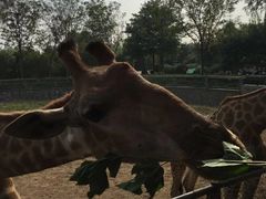 -石家庄市动物园