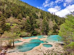 -黄龙山原始森林景区