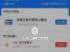 -鮨龍