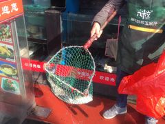 -全乐鱼馆·淳牌有机鱼直营店
