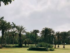 -荔香公园