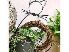 -拾壹cafe·工作室