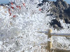 -崂山巨峰游览区