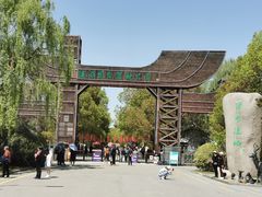 -溱湖国家湿地公园