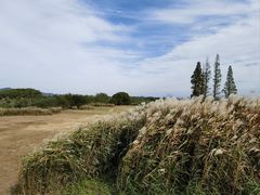 -良渚古城遗址公园