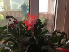 -兴芮温泉度假区