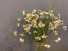 -红小满休闲餐厅(十全街店)