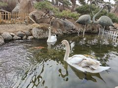 -罗红摄影艺术馆