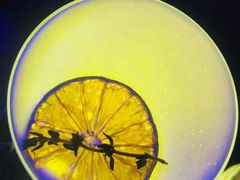 -好久不见网红乐队酒吧(鼓浪屿海底世界店)