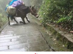 -峨眉山风景名胜区