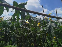 -动邦皮划艇·桨板·独木舟·团建户外运动俱乐部