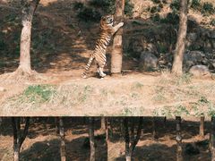 -杭州野生动物世界