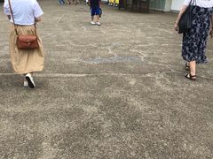 -名古屋城