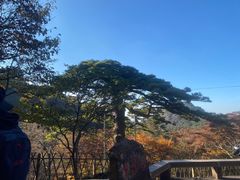 -黄山风景区