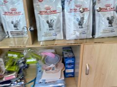 -乐派堂宠物医院·猫友好· 心脏科(东街店)