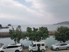 -小普陀