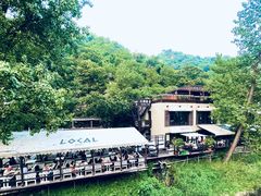 -Local泰莲庭(虹鳟鱼店)