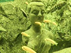 -北海海底世界