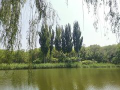 -大兴滨河森林公园