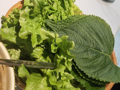 -白山烧烤(文安路万豪店)