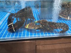 水产区-七鲜超市(通州ONE店)