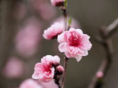 -共青国家森林公园-售票处