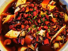 -鑫巴蜀小镇 · 水煮鱼专研店(玉桥店)