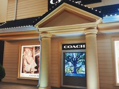 -COACH蔻驰(赛特奥特莱斯店)