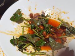 -天辣(金桥啦啦宝都店)