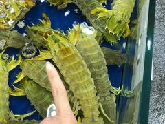 -东江海鲜酒家(艺都分店)