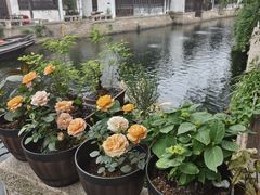 -嘉兴月河历史街区