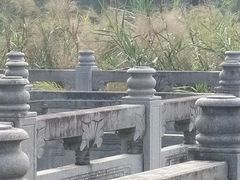 -东莞植物园