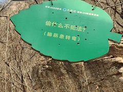 -京东石林峡风景区