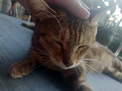 -大家乐(东莞虎门店)