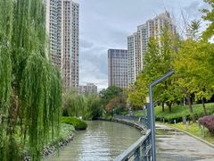 -苏州河梦清园环保主题公园