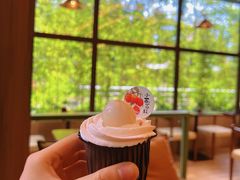 -小西家作•精致蛋糕(富力爱丁堡店)