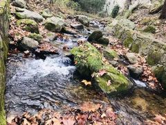 -秦岭终南山世界地质公园翠华山景区