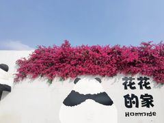 -成都大熊猫繁育研究基地