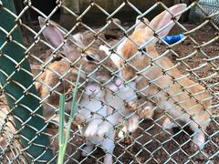 -南京外国语学校(仙林分校西区)