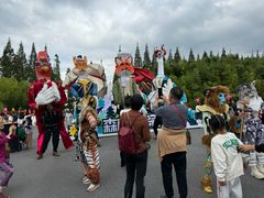 -黄海国家森林公园