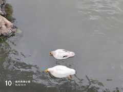-西湖公园(鼓楼区)