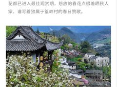 -篁岭景区