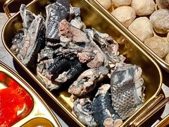 -Darling Queen·Mini·Live·House